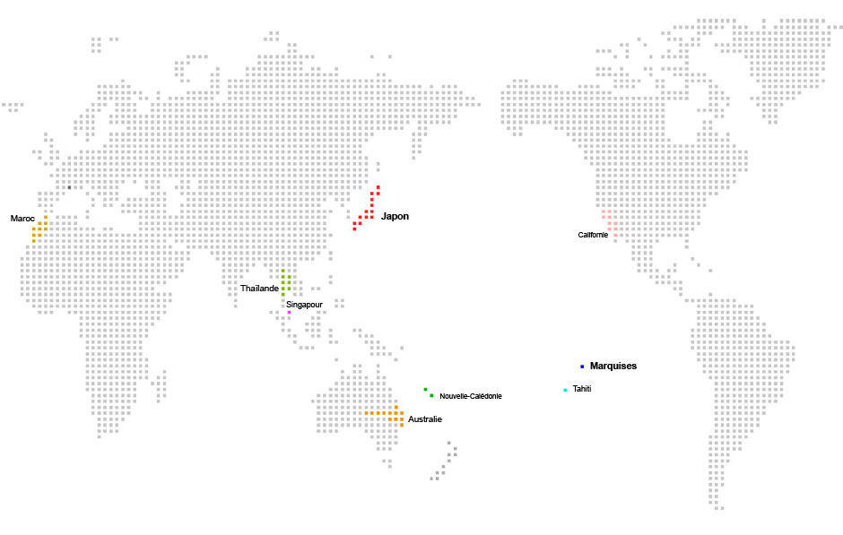 World Map Carnet de voyage